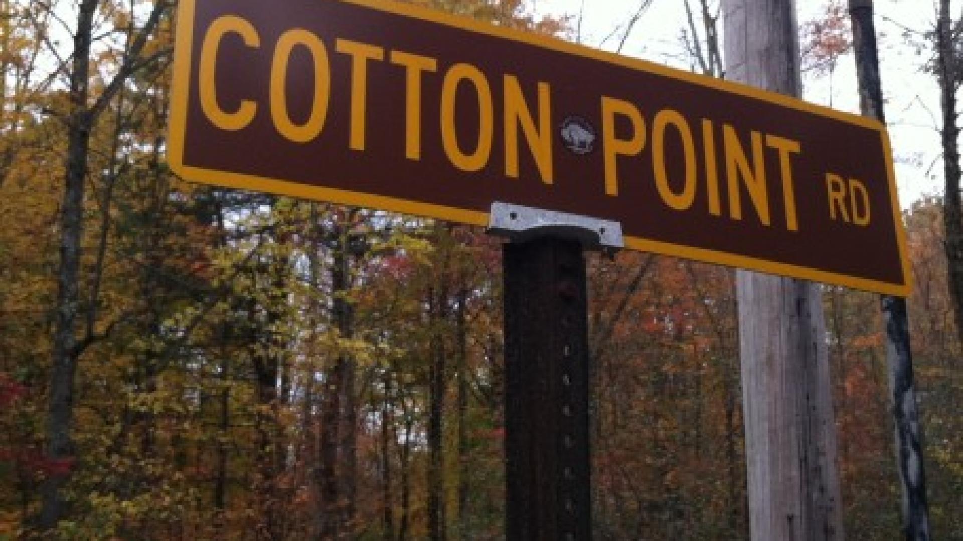 Cotton Point Rentals