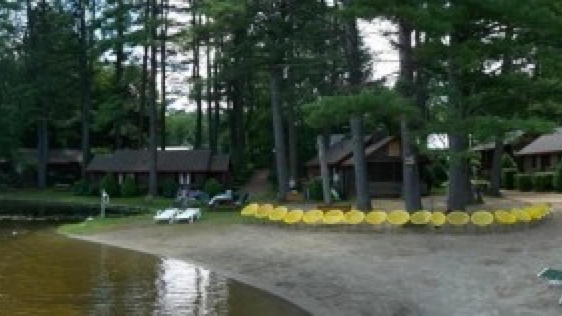 Pine Point Cottages & Motel
