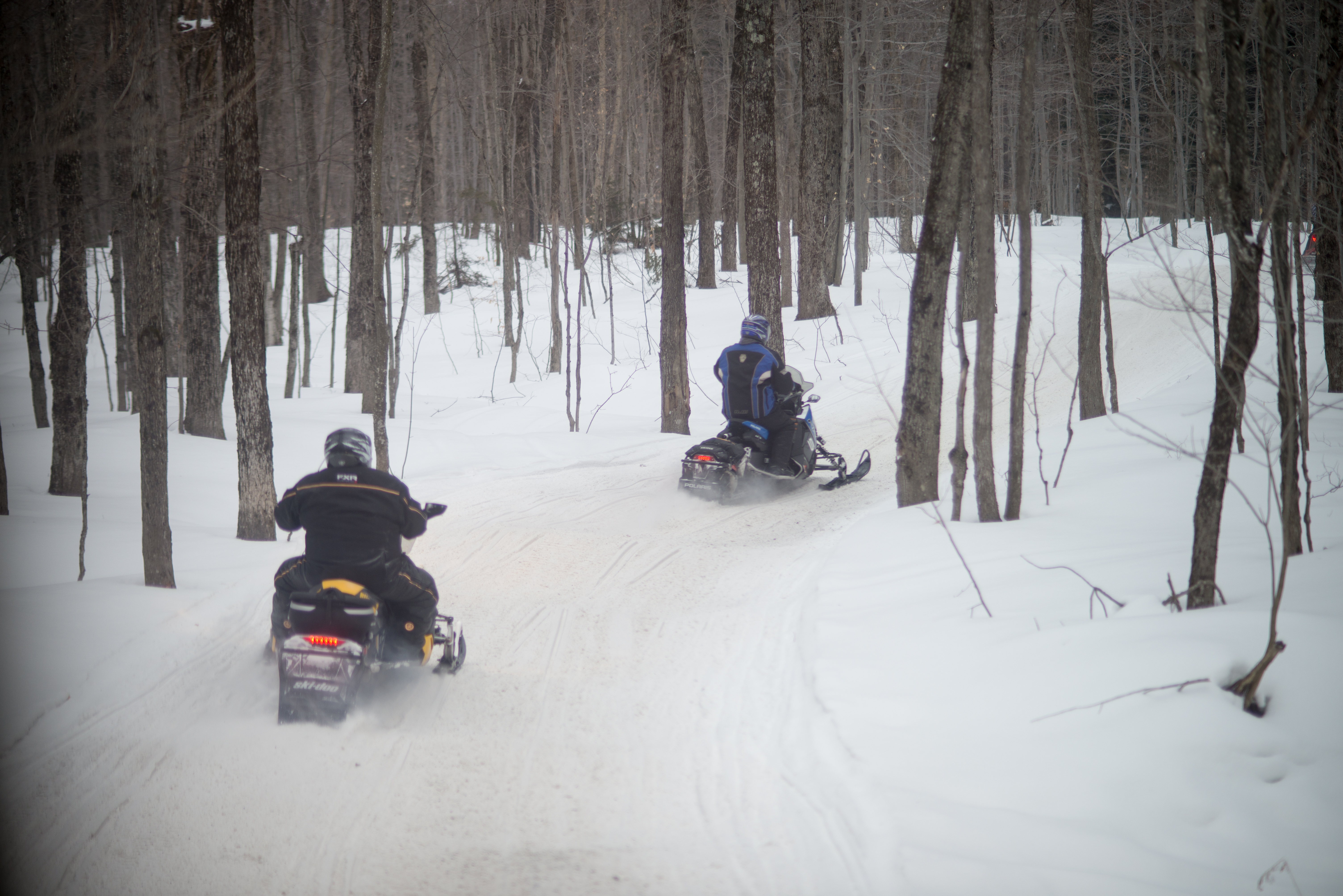 two snowmobiles riding through the Adirondacks in winter