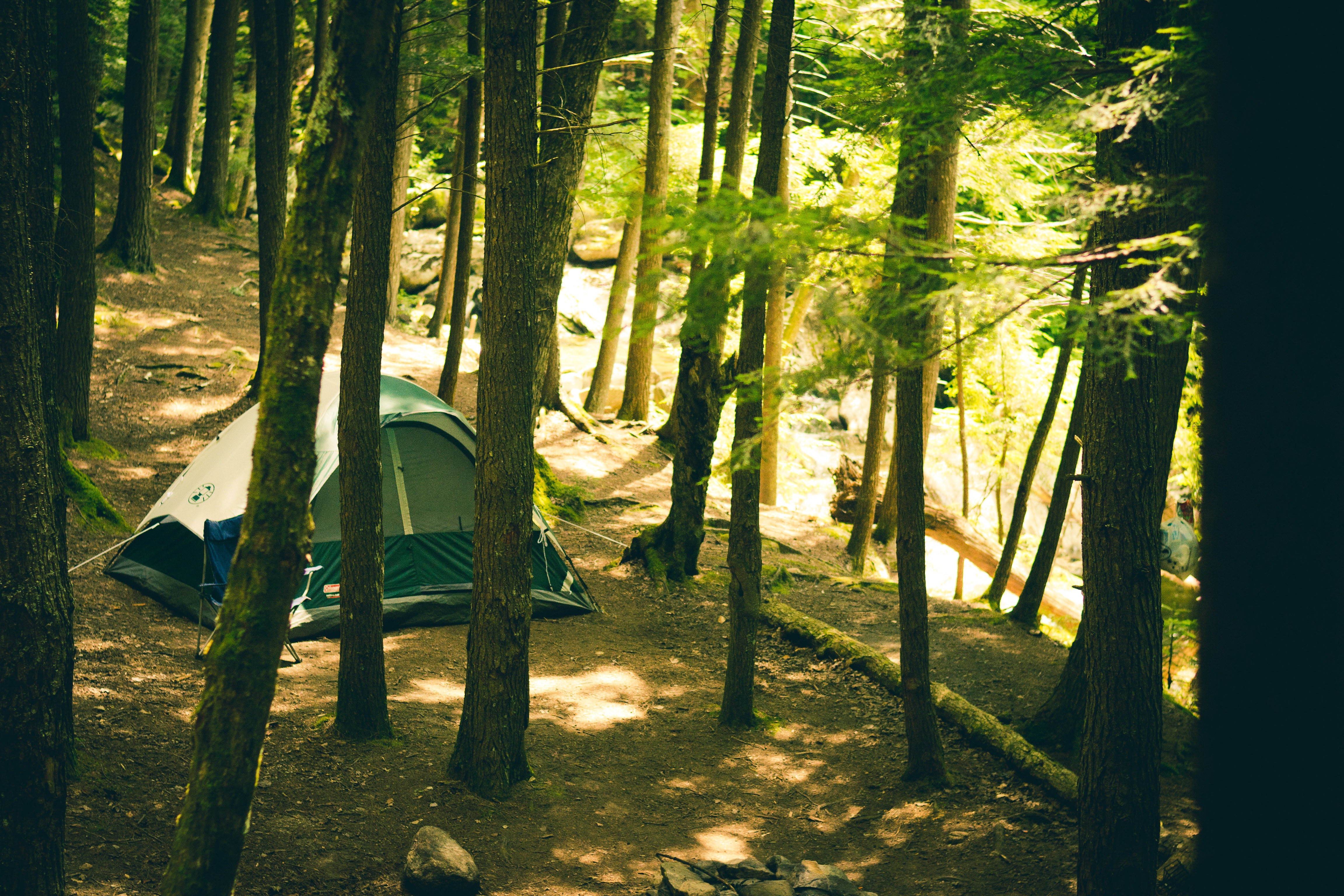 camping tent set up in the Adirondack wilderness