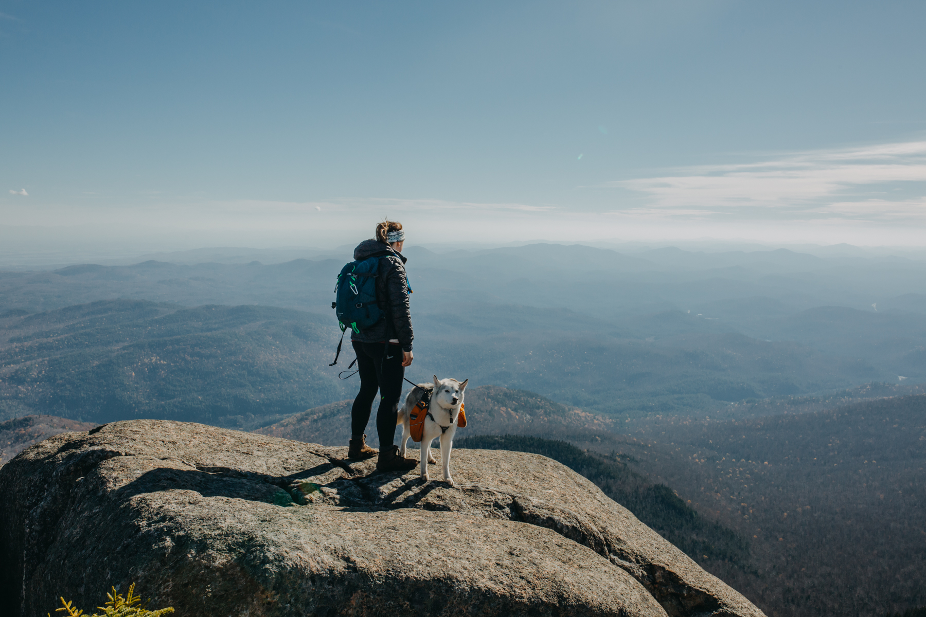 dog and owner at top of mountain