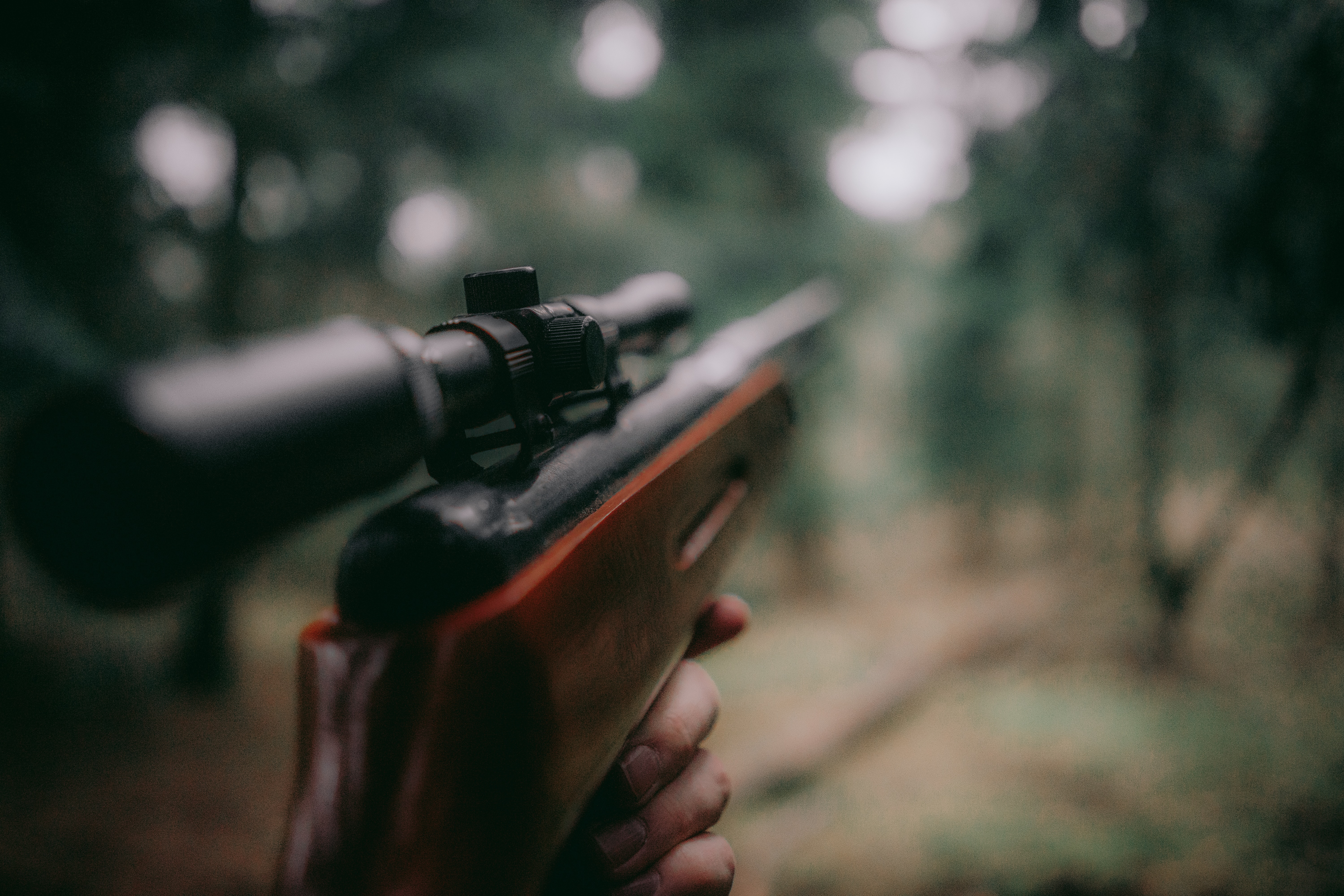 hunting rifle aiming to shoot