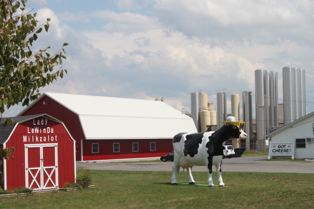 dairy farm in the Adirondacks Tug Hill region