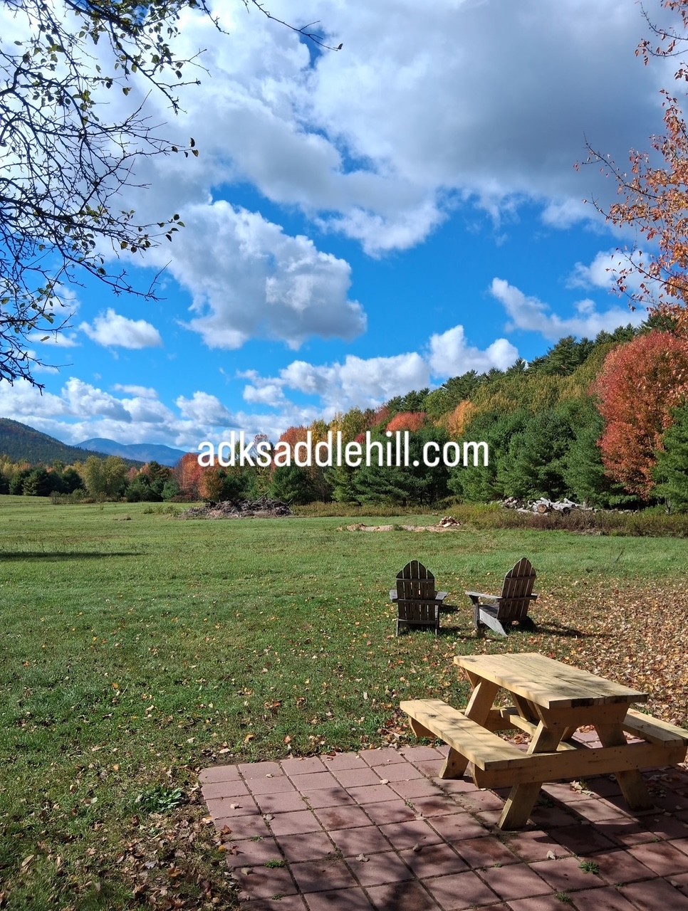Scenic view with picnic table
