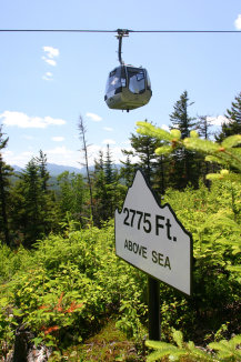 Whiteface Mountain Ski Center & Gondola