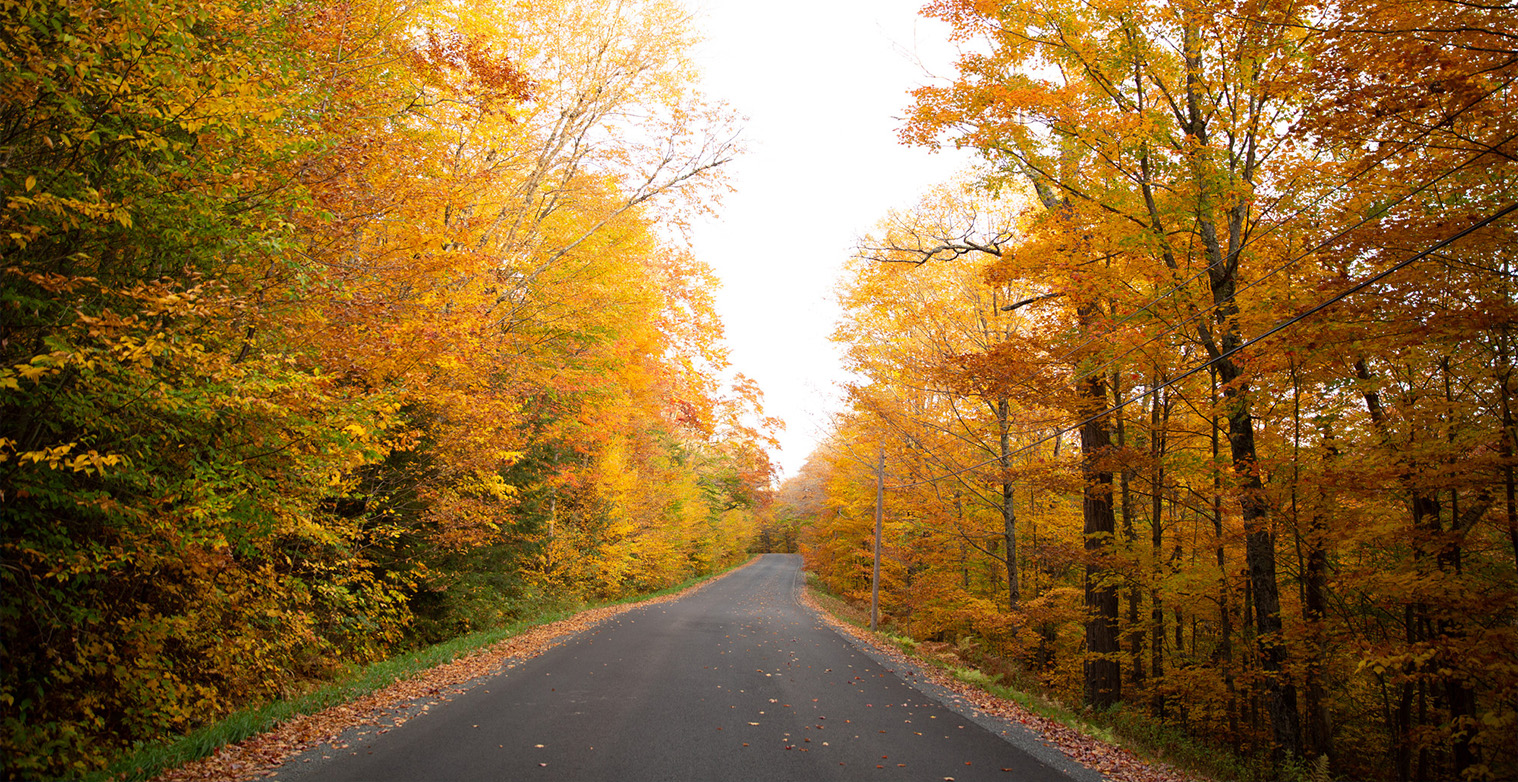 Fall Road 
