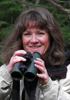Adirondack Avian Expeditions & Workshops