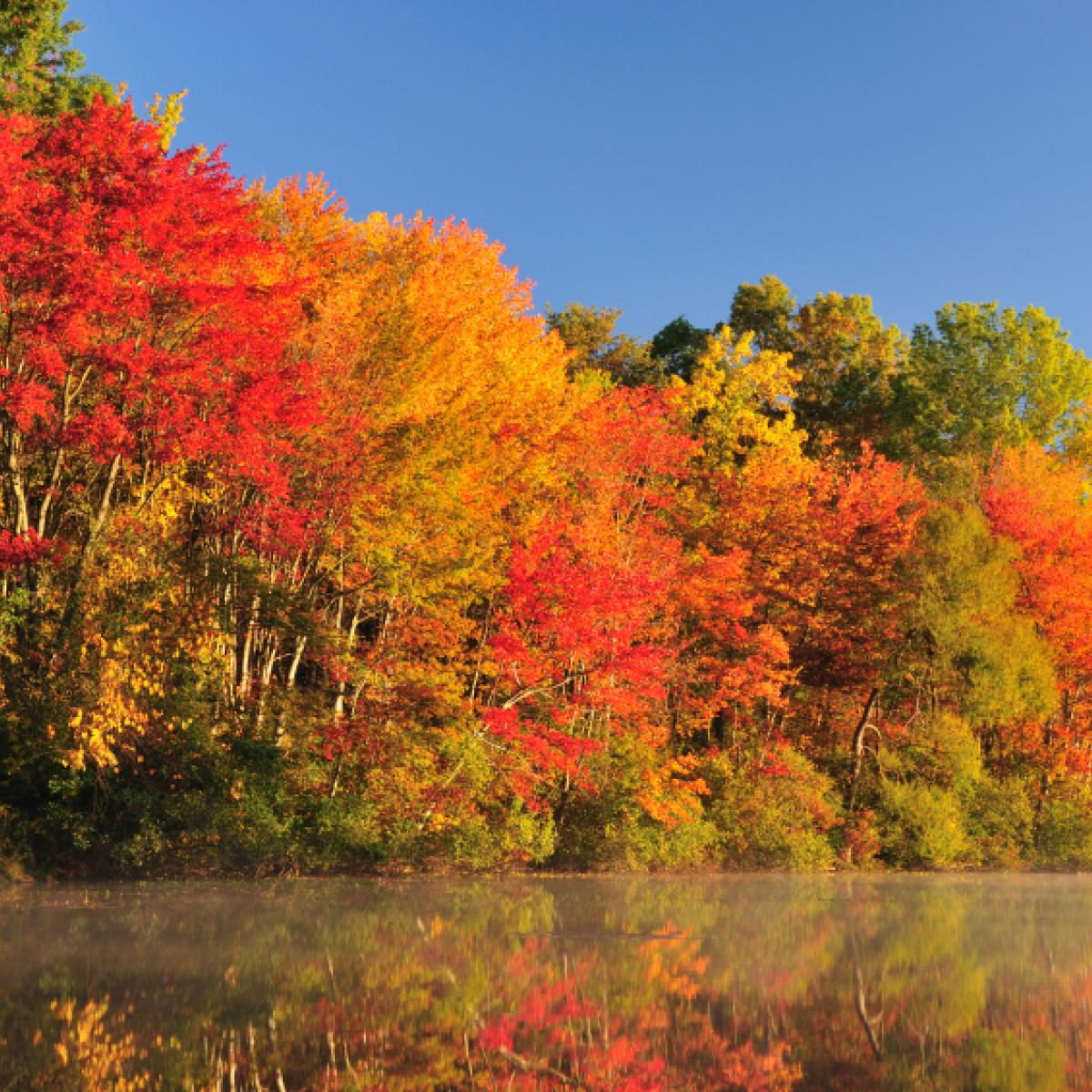 Fall Hiking | Official Adirondack Region Website