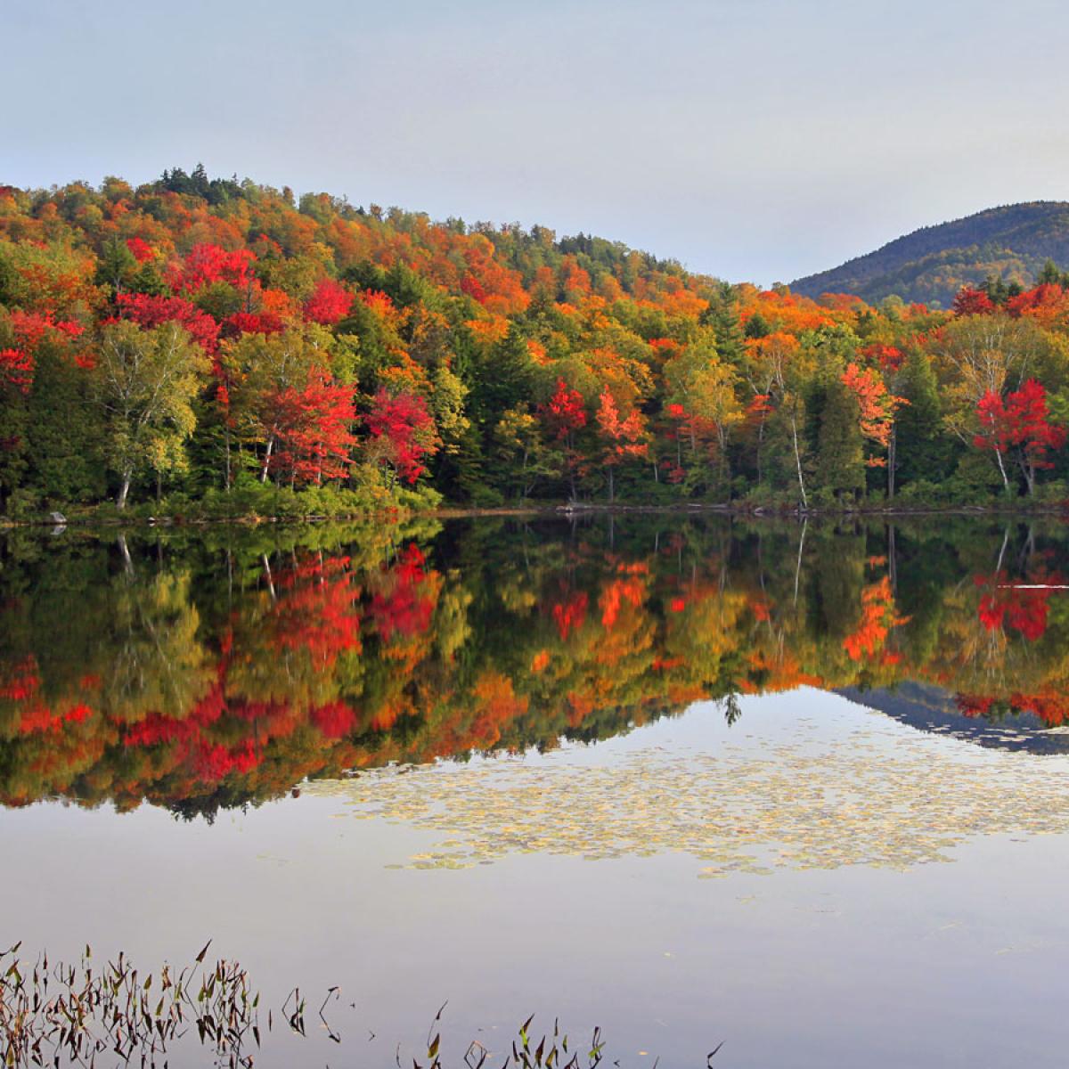 Adirondack Lakes | Official Adirondack Region Website