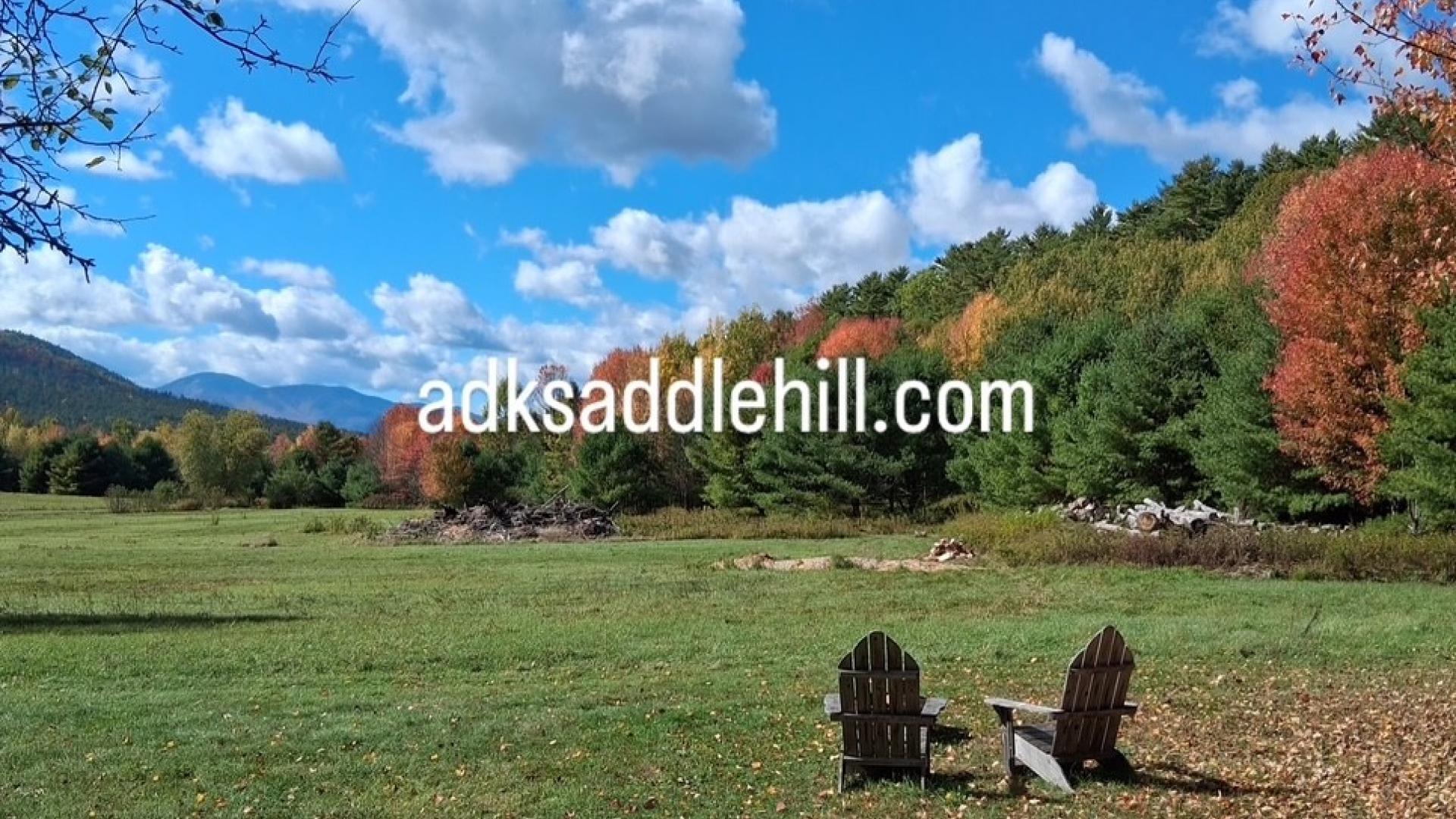 Scenic view with picnic table