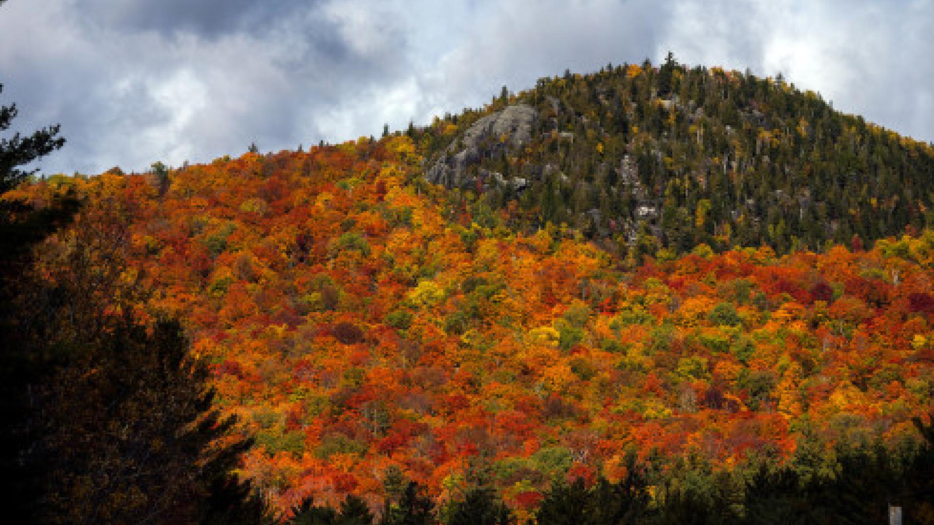 Adirondack High Peaks Wilderness Area