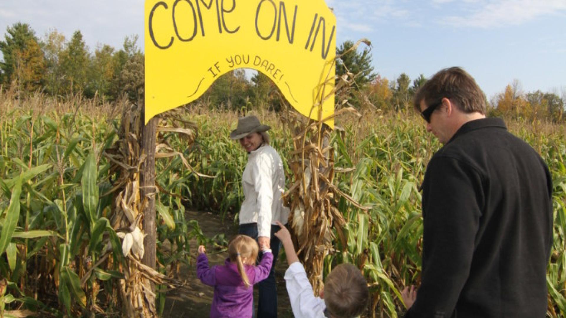 Country Dreams Farm