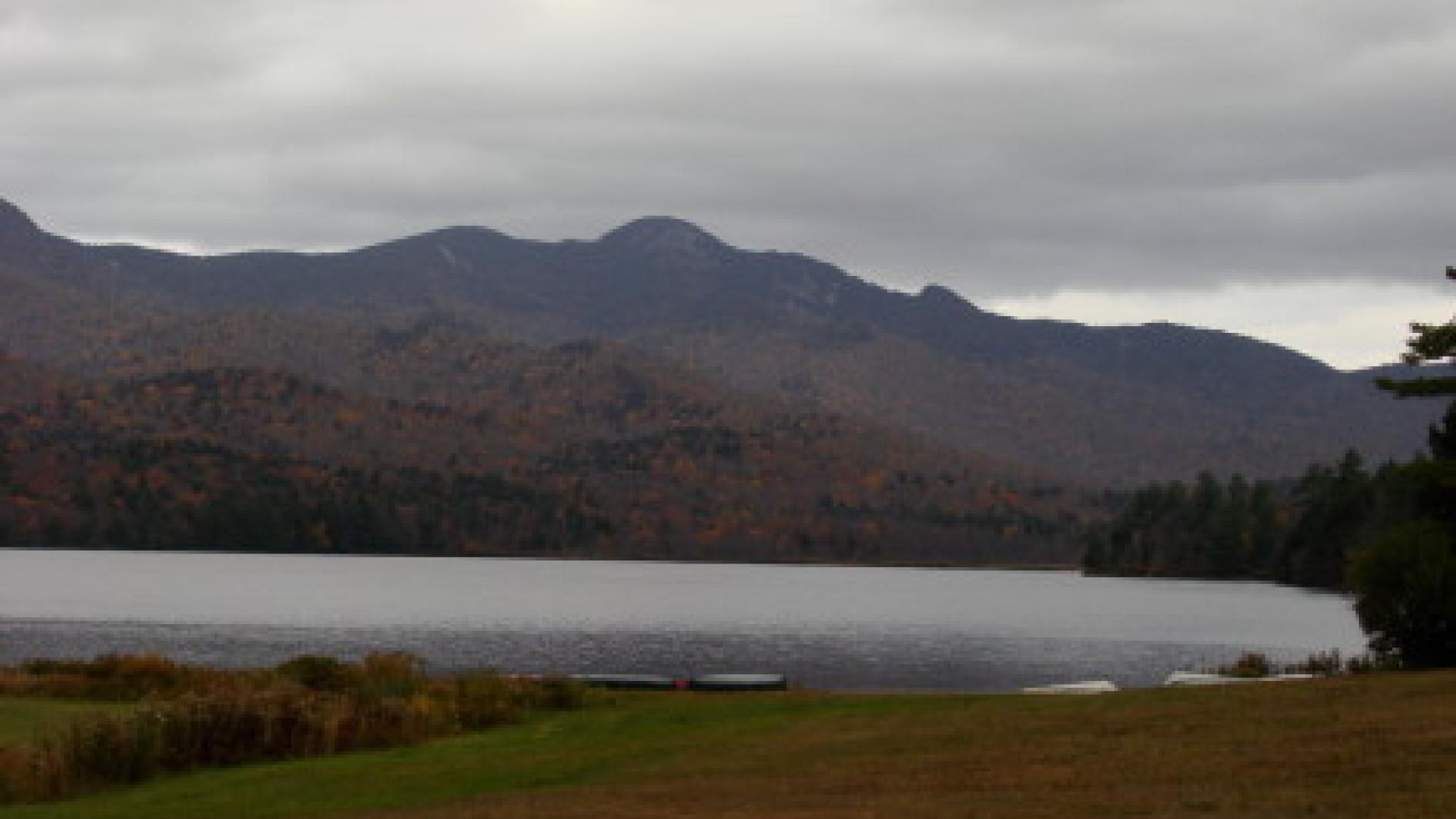 Galusha's Cabins