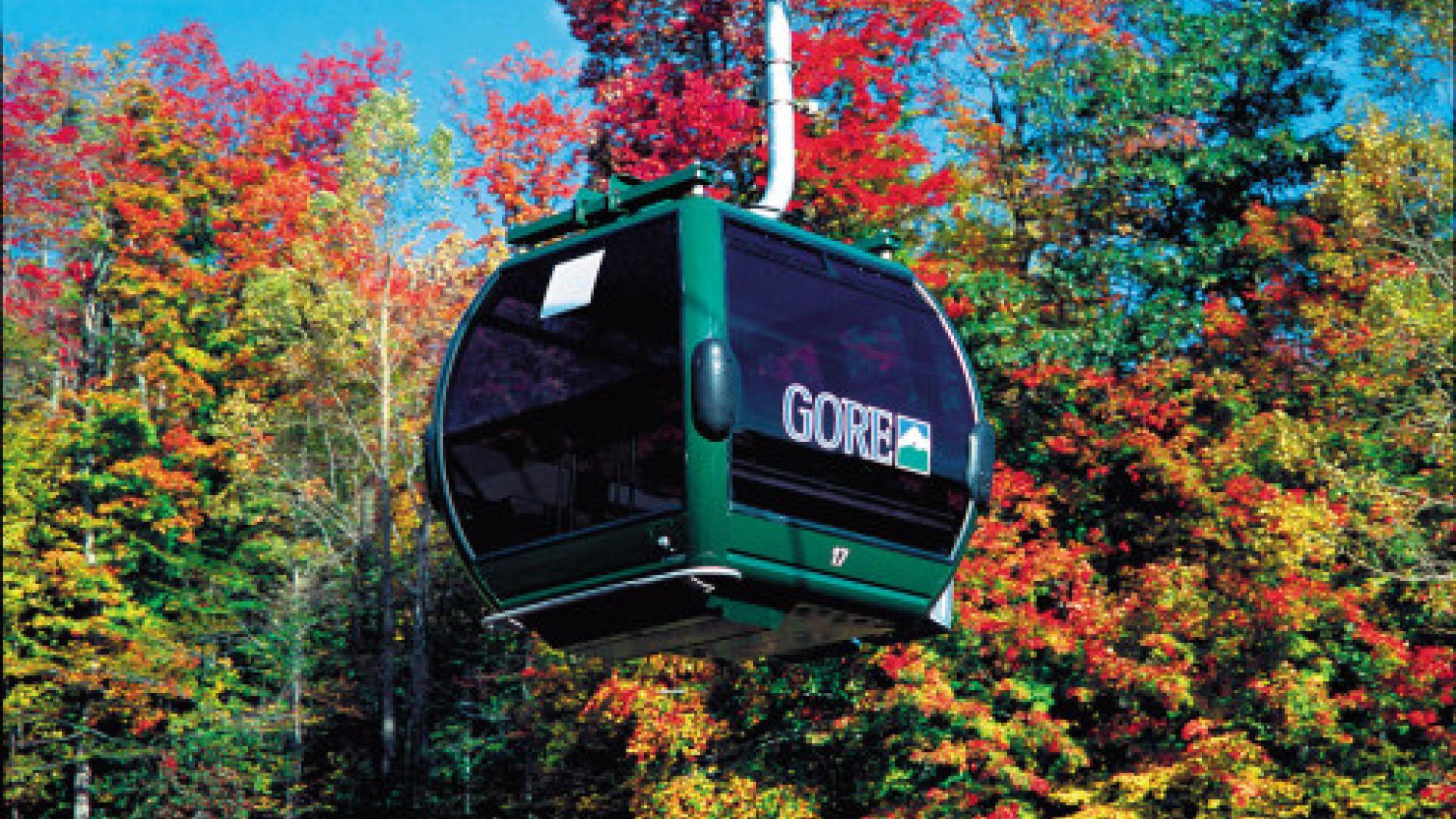 Scenic Northwoods Gondola