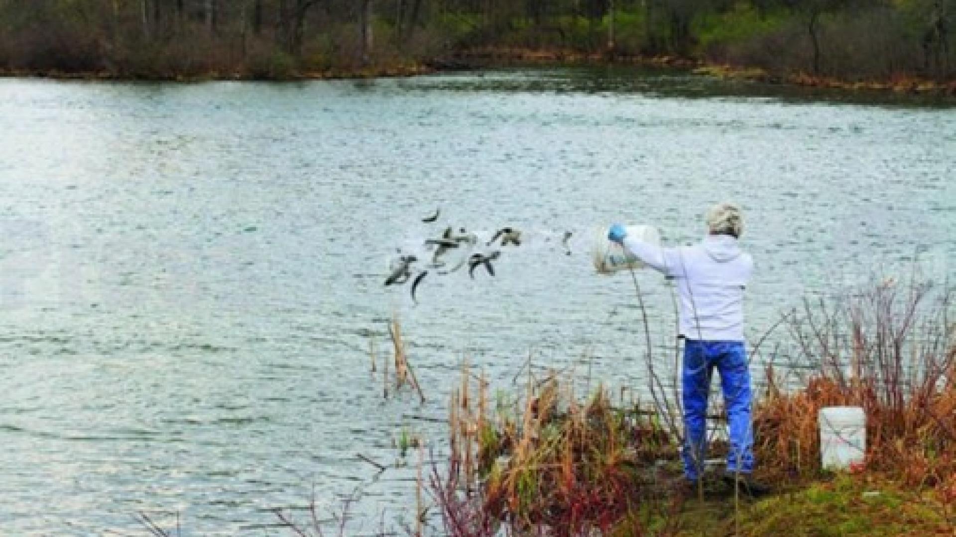 Essex County Fish Hatchery