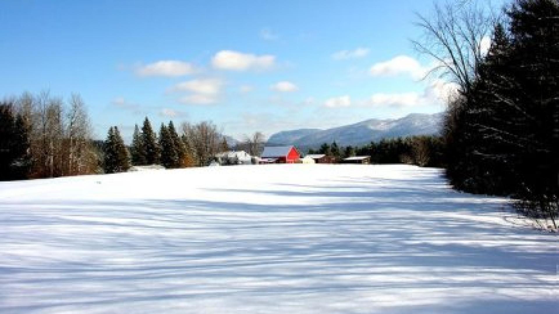 Mountain View Farm Guest Cottage