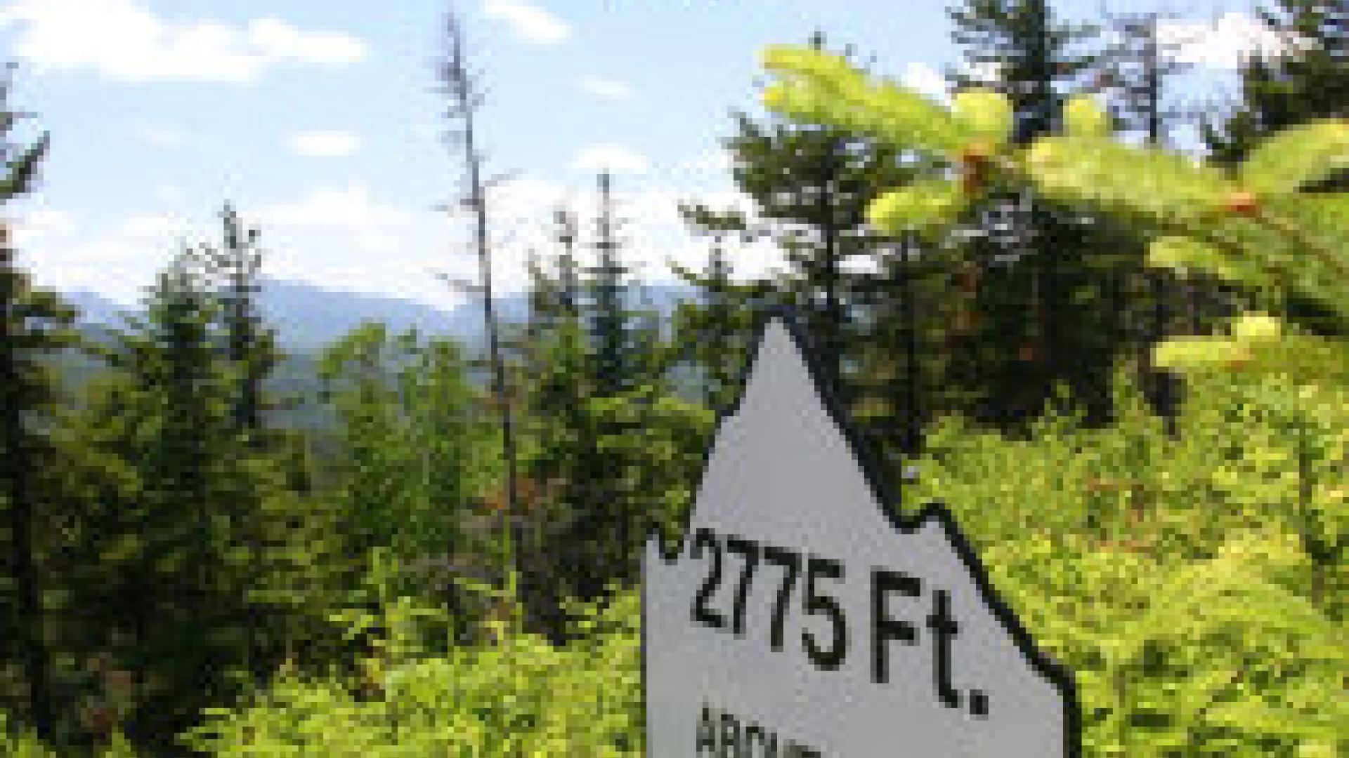 Whiteface Mountain Ski Center & Gondola