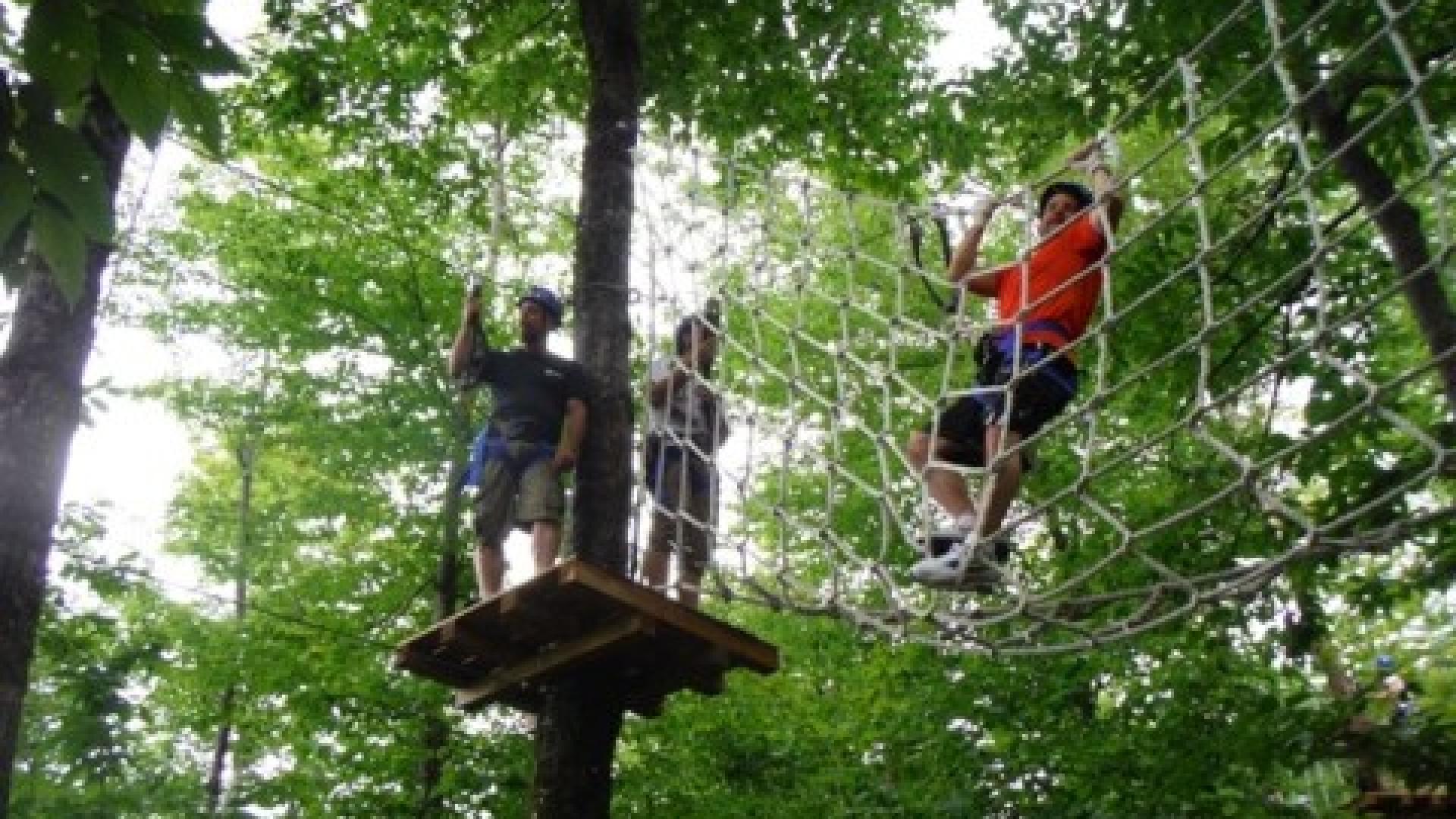 Aerial Zip Course