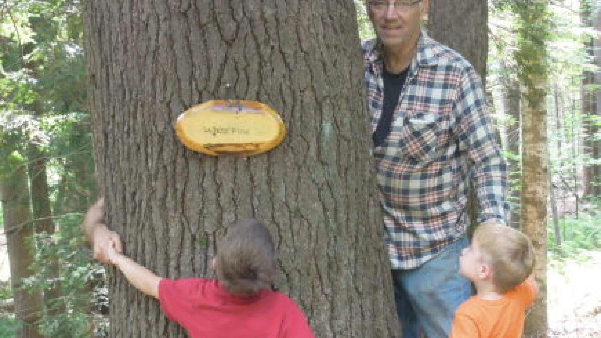 Martin's Tree Farm and Sawmill