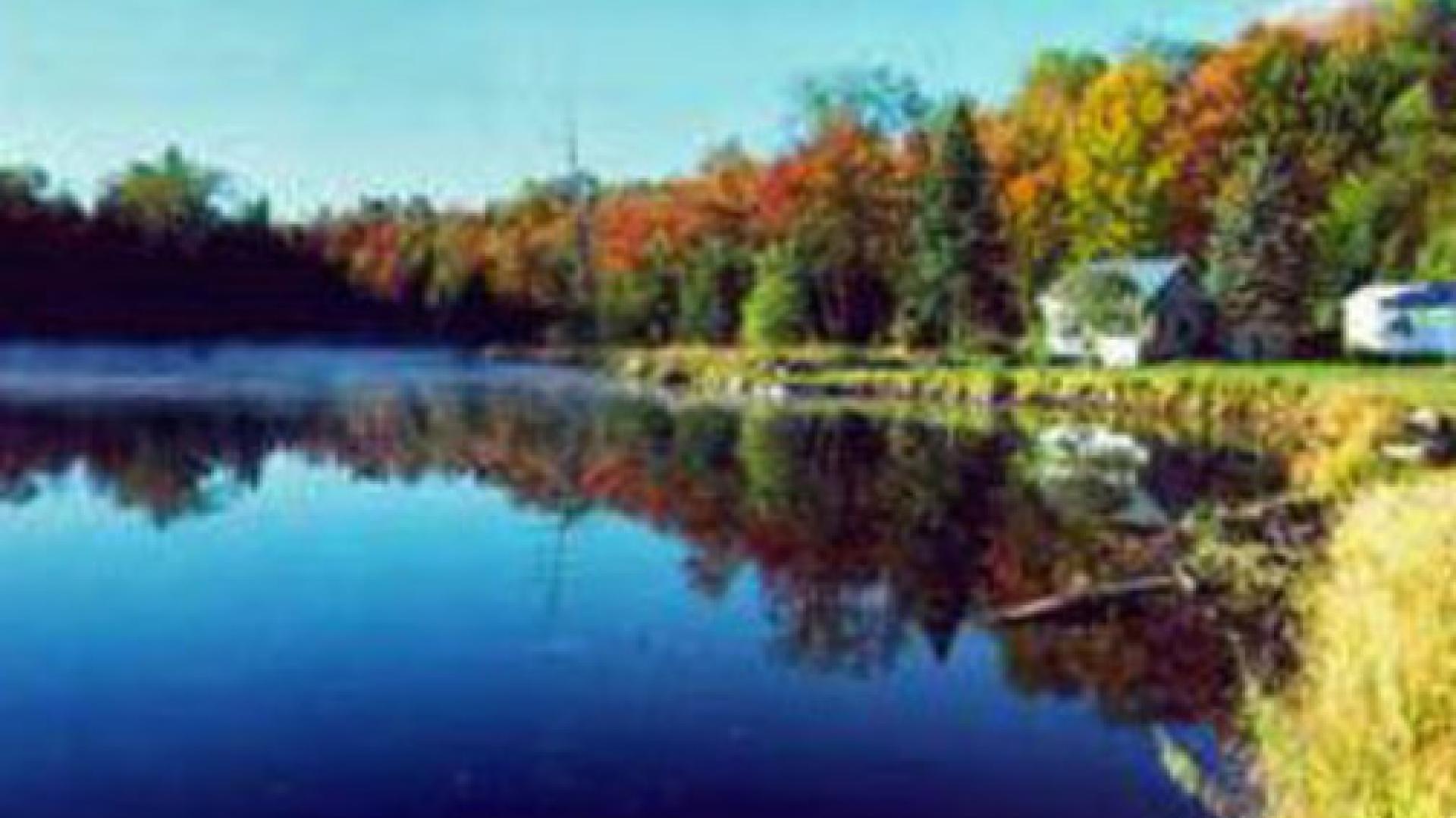 Forest Pond Cottage