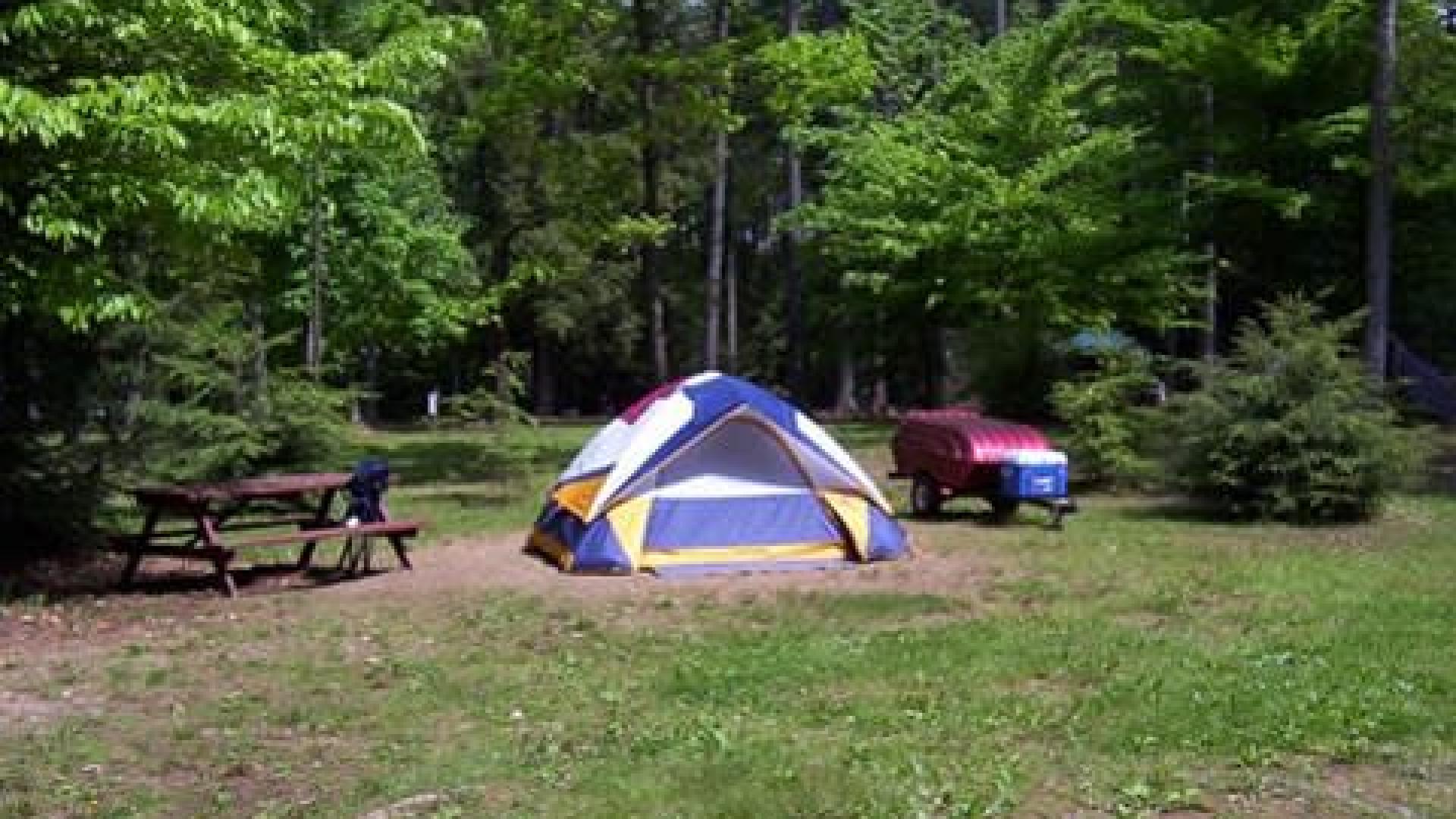 Koa tent camping best sale