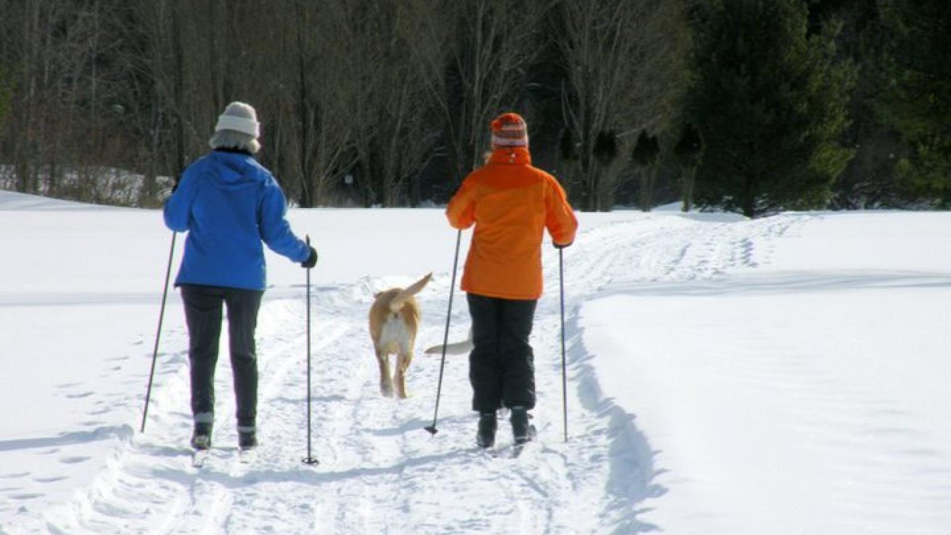 Warren County Nordic Ski Trail System
