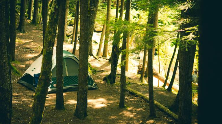 backcountry camping tent set up in the woods