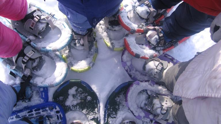 bunch of snowshoes in a circle