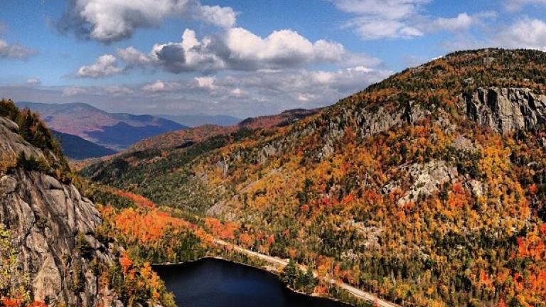 fall foliage near Chapel Pond; image credit to Benny Mikes
