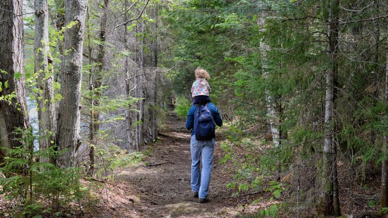 Hiking In New York – Adirondack Mountain Maps and Information