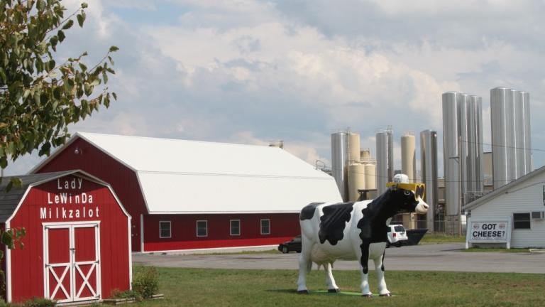 dairy farm in Adirondacks Tug Hill Region