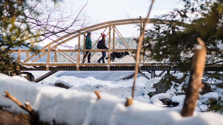 foot bridge Adirondacks