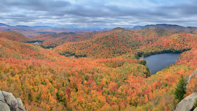 Fall