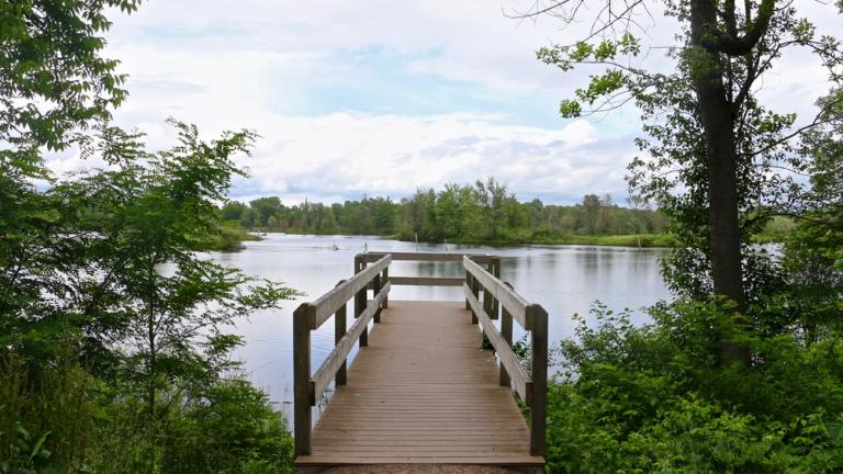 Scenic Walking Trail
