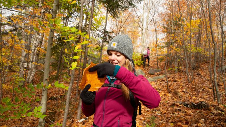 Fall Hike