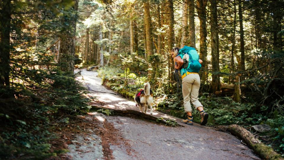 woman hiking in the Adirondacks with her dog