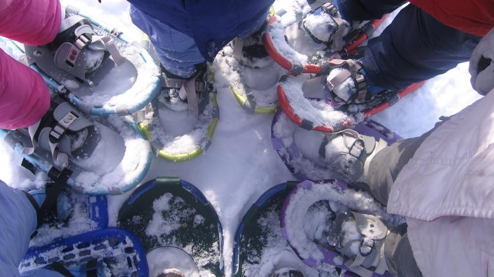 a bunch of snowshoes in a circle