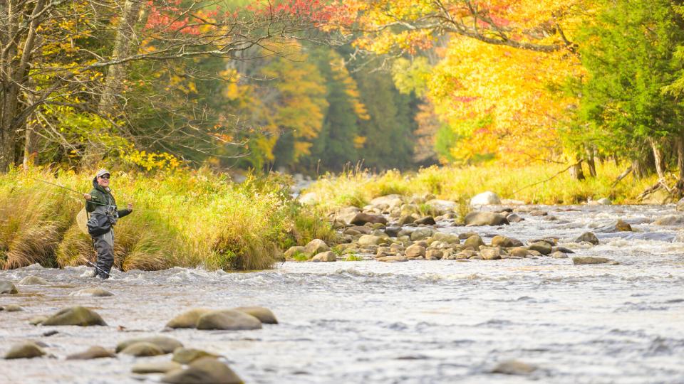 Fly Fishing