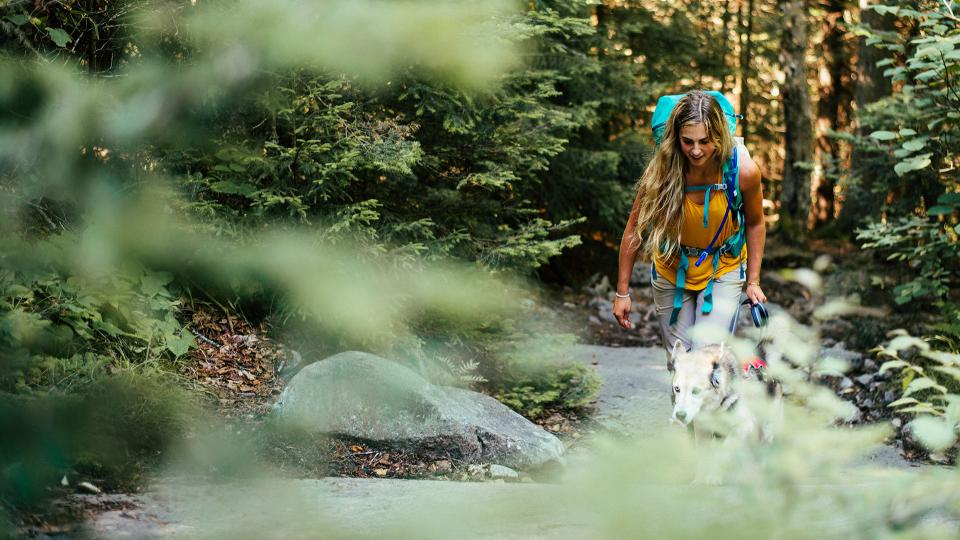 Hiking with dog