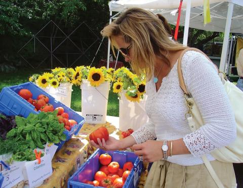 woman shopping in a farmers market in the Adirondacks