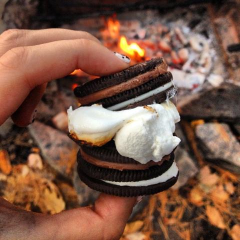 s'mores over a campfire
