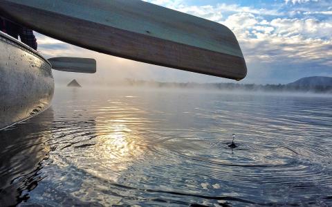 canoe paddling on Cranberry Lake