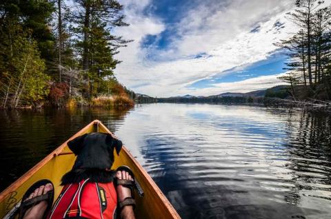 paddling with a dog; image credit to Brendan Wiltse