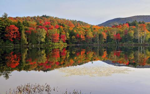 fall scene around Tupper Lake