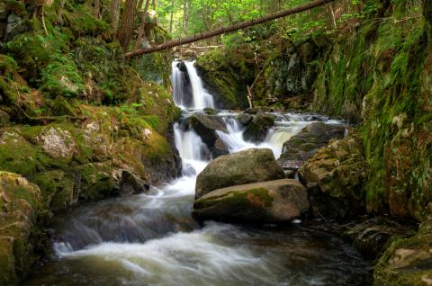 Falls on East Jimmy Creek; image credit to Dig the Falls