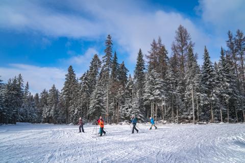 Cross-Country Skiing