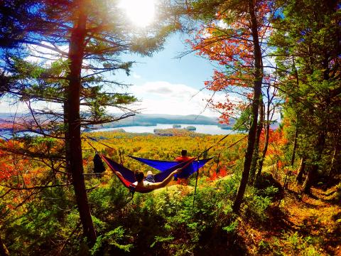 Vivid fall foliage view from tree hammocks