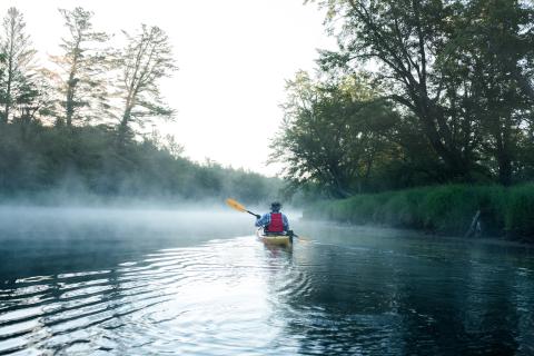 Paddle