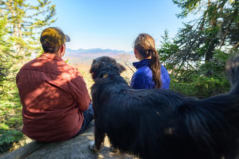Hiking with your dog