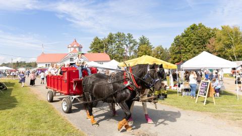 Horse drawn wagon at a festival